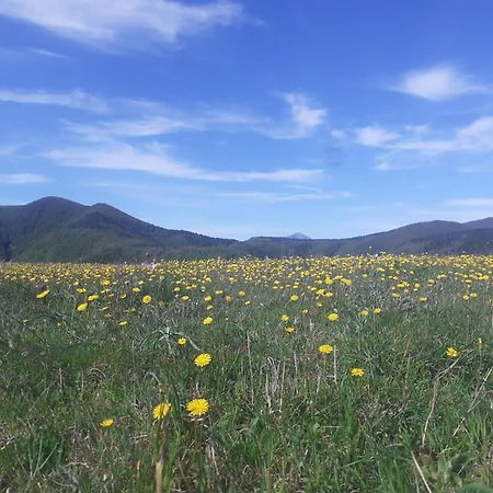 Agriturismo Becerca Vegan Serra San Quirico Esterno foto