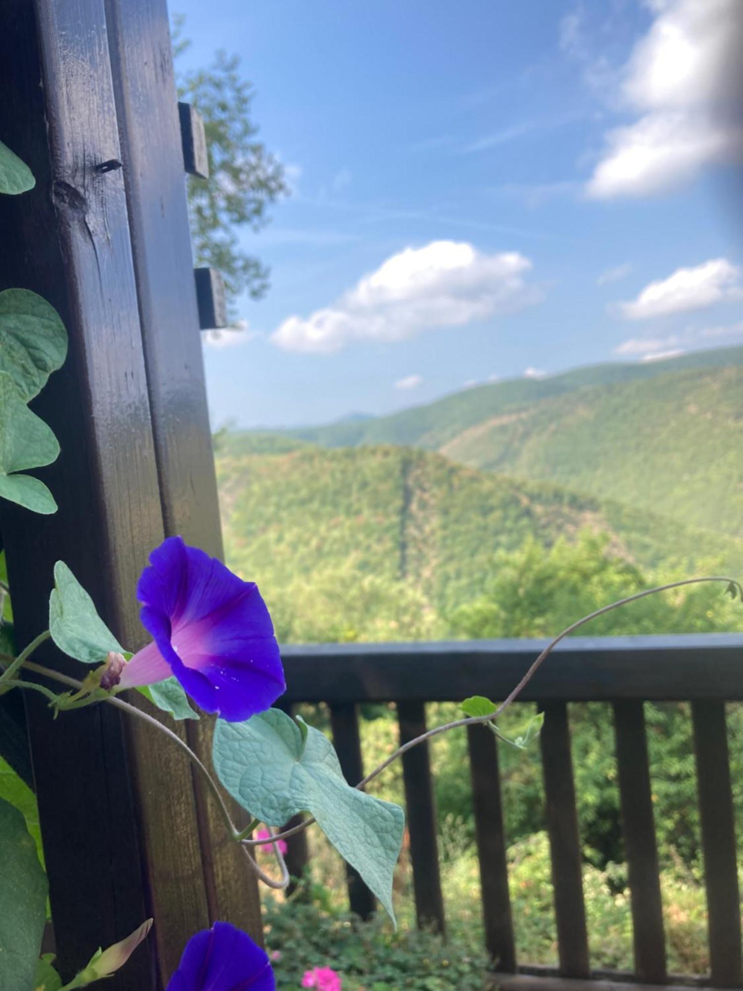 Agriturismo Becerca Vegan Serra San Quirico Esterno foto