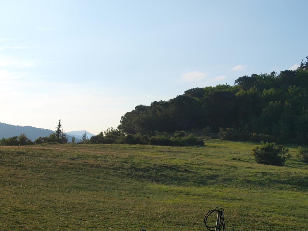 Agriturismo Becerca Vegan Serra San Quirico Esterno foto