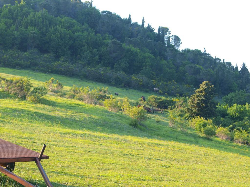 Agriturismo Becerca Vegan Serra San Quirico Esterno foto