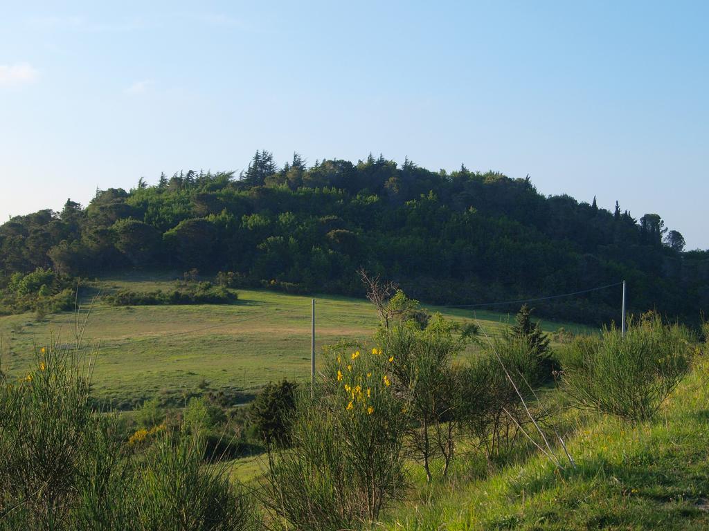 Agriturismo Becerca Vegan Serra San Quirico Esterno foto