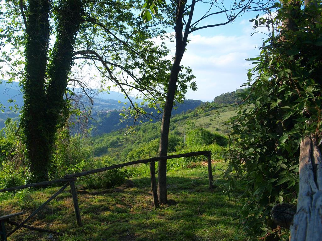 Agriturismo Becerca Vegan Serra San Quirico Esterno foto