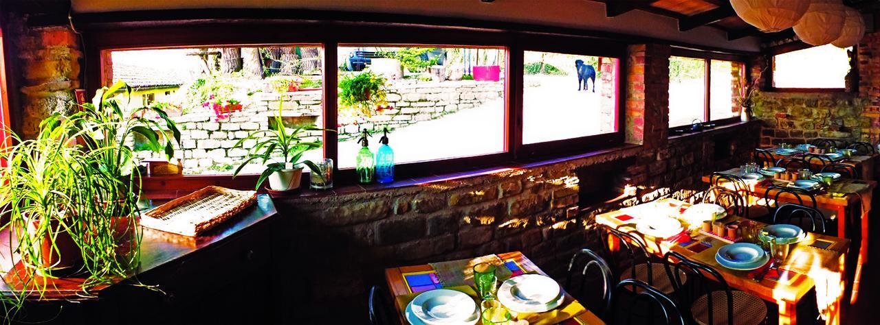 Agriturismo Becerca Vegan Serra San Quirico Esterno foto